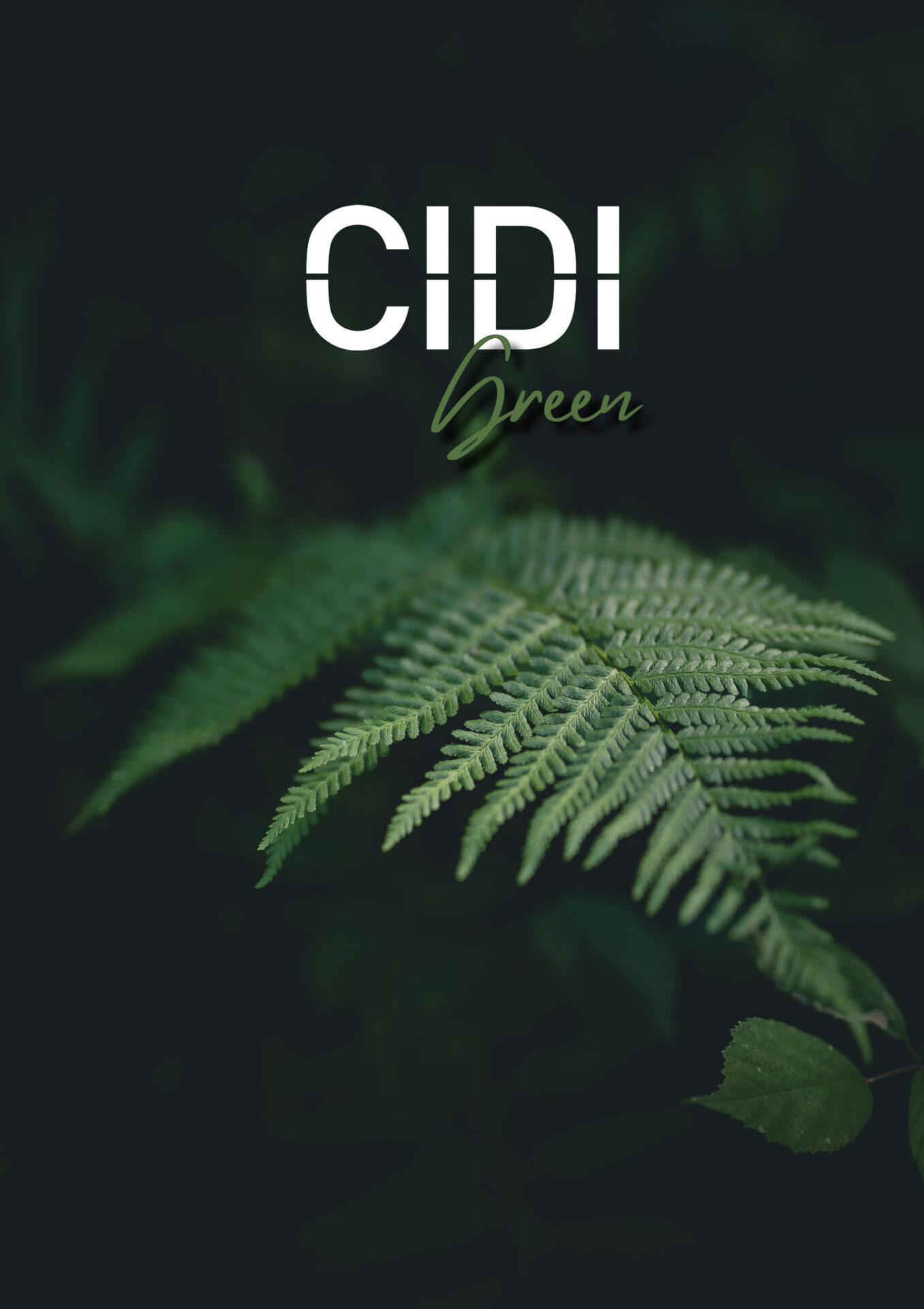 Couverture de la brochure Green du Groupe CIDI